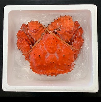 ＜12月21日決済分まで年内配送＞【北海道根室産】花咲がに姿1.2kg×1尾 C-01023