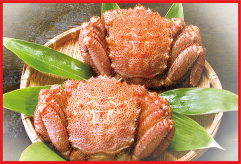 ＜12月21日決済分まで年内配送＞ボイル毛がに400g前後×2尾 F-07010