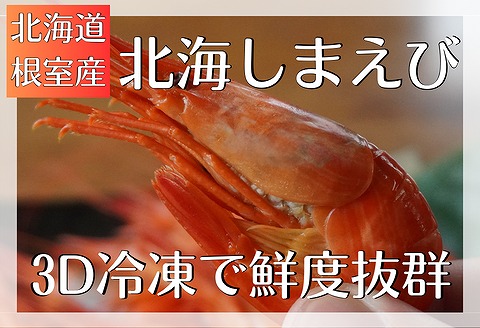 【北海道根室産】北海しまえび1kg B-12001
