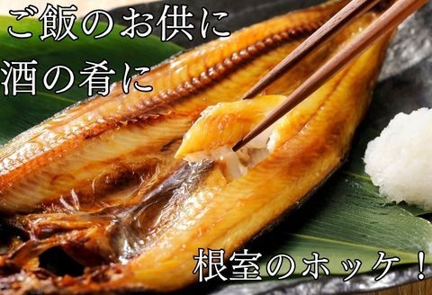 ＜12月21日決済分まで年内配送＞ほっけ一夜干し6枚セット A-83001