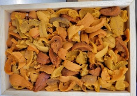 エゾバフンウニ(赤系)150g×1折 A-71043