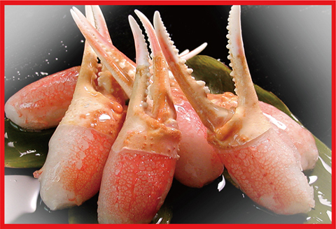 ＜12月21日決済分まで年内配送＞かに爪刺身500g A-07013