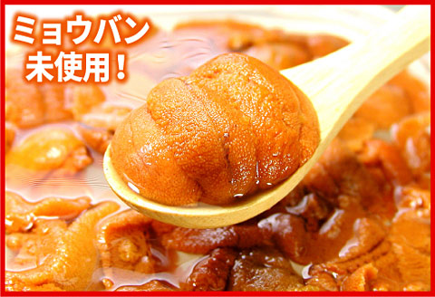 エゾバフンウニ(赤色)塩水パック100g×1P [2026年1月下旬以降発送] B-07018