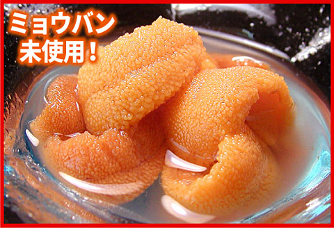 エゾバフンウニ(黄色)塩水パック70g×1P [2026年1月下旬以降発送] B-07019