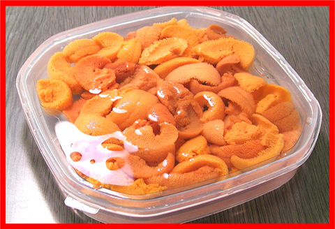 エゾバフンウニ(黄色)塩水パック100～110g×1P [2026年1月下旬以降発送] C-56019