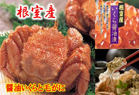 ＜12月21日決済分まで年内配送＞【北海道根室産】醤油いくらと毛がに C-01065