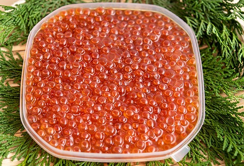 ＜12月21日決済分まで年内配送＞生冷本ずわいがに棒肉500g、いくら醤油漬け200g F-05003