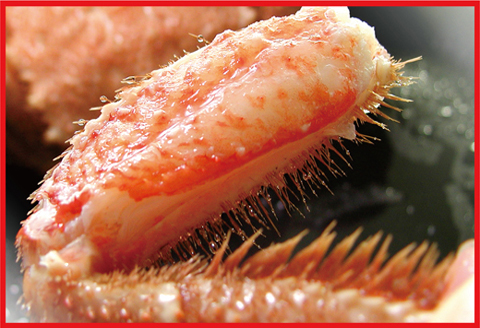 ＜12月21日決済分まで年内配送＞ボイル毛蟹800g前後×1尾 F-07011