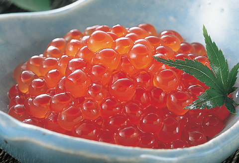 醤油いくら500g、明太子500g F-16015