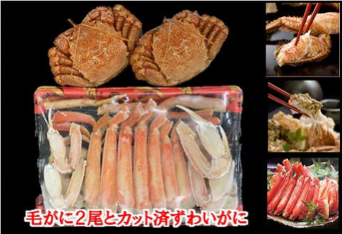 ＜12月21日決済分まで年内配送＞毛がに2尾とずわいがにカット脚(棒肉・肩肉・爪肉) C-01008