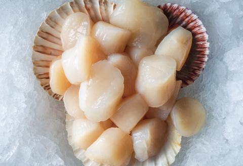 ほたて600g×2P・醤油いくら500g D-16022