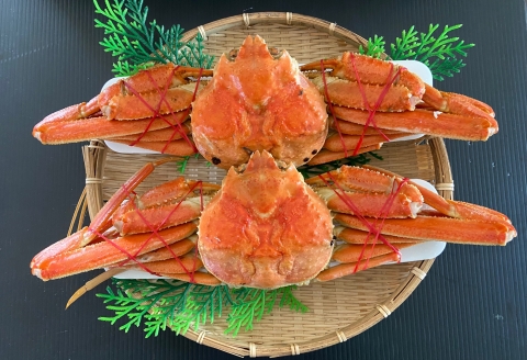 ずわい蟹600g×2尾 C-66017