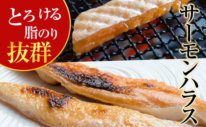 塩サーモンハラス660g＆塩銀鮭切り身1切×12P A-09032