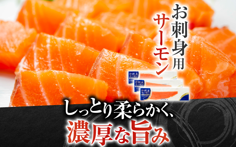 お刺身トラウトサーモン800g＆塩サーモンハラス440g A-09033