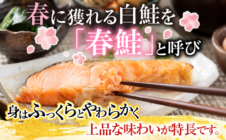 無添加甘塩天然沖獲れ鮭5切×6P(計30切、約1.5kg) A-11009