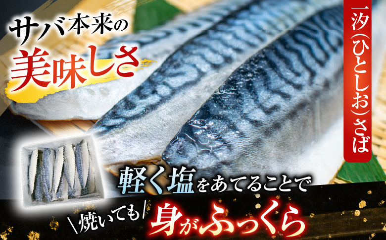 無添加天然サバフィーレ20枚 A-11080