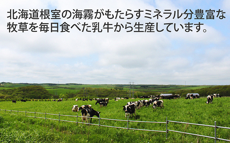 ＜12月17日決済分まで年内配送＞【北海道根室産】低温殺菌牛乳800ml×4本 A-13025