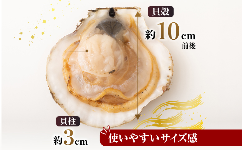 ＼漁業者応援品／片貝ほたて10枚×2袋 A-14134