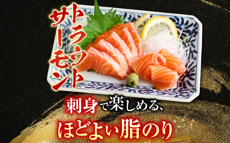 刺身用ほたて貝柱200g・刺身用トラウトサーモン(背)300～400g×1本 A-14221