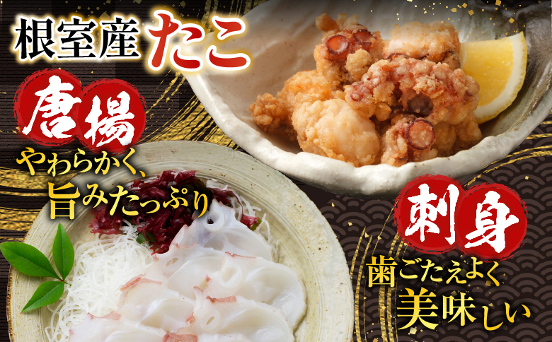 【北海道根室産】さんま・さば・唐揚げ用たこ・たこ刺身セット A-19014