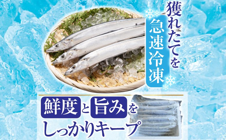 【北海道根室産】冷凍生さんま500g×4P（計2kg） A-19016