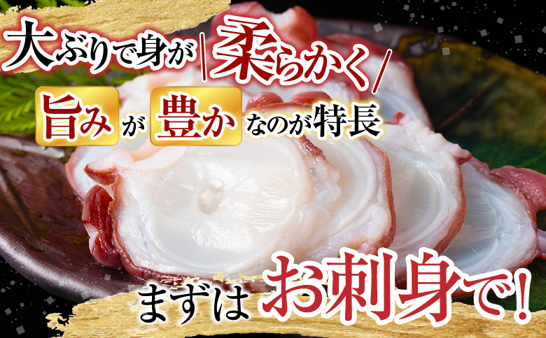 ＜12月14日決済分まで年内配送＞【北海道根室産】ボイルたこ足(水蛸)ブロック3切(計1kg前後) A-20003