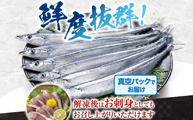 【北海道根室産】花咲かに2尾・冷凍さんま5尾セット A-36004