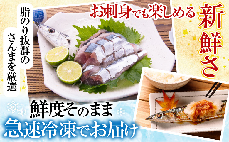 ＜12月21日決済分まで年内配送＞甘塩紅鮭5切×2P、冷凍生さんま5尾×2P A-36017