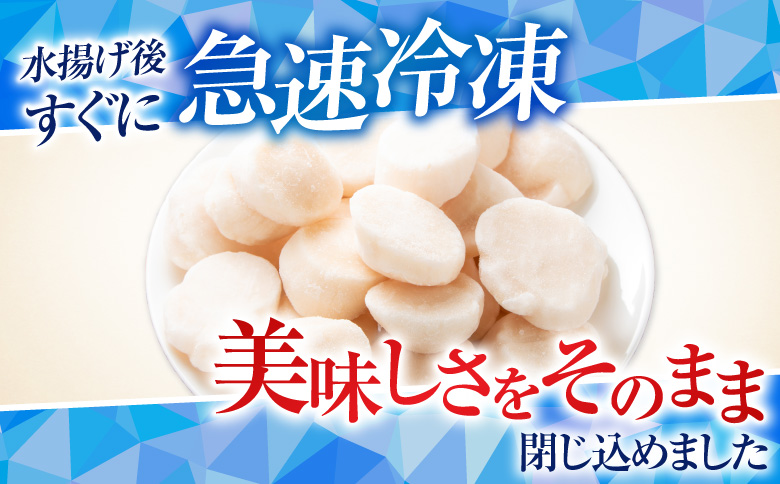 ＼漁業者応援品／【北海道根室産】お刺身ほたて貝柱400g A-42125