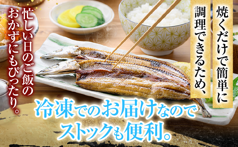 ＜12月21日決済分まで年内配送＞【北海道根室産】秋刀魚尽くし A-54014