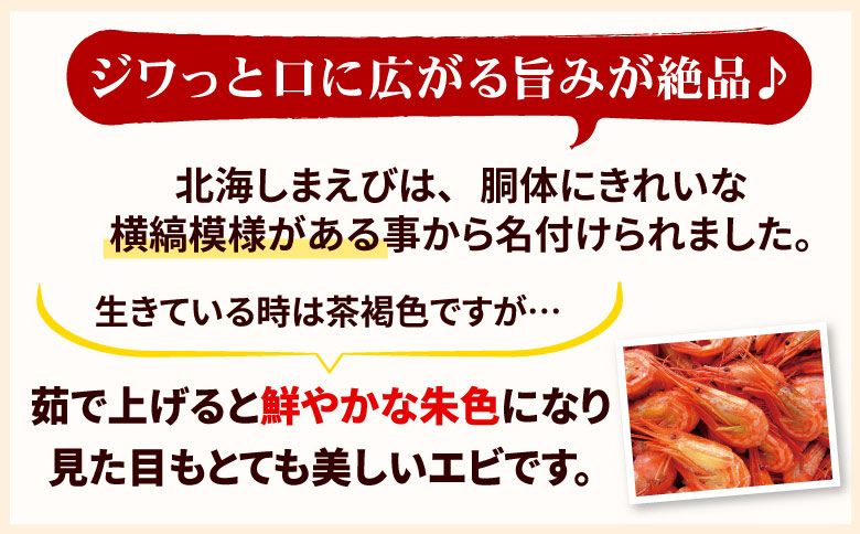 【北海道根室産】北海シマエビ800g(80～130尾) A-56014