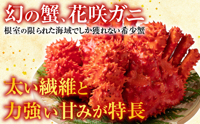 ＜12月21日決済分まで年内配送＞【北海道根室産】花咲ガニとクリガニセット5～6尾(計1.5kg前後) A-57015
