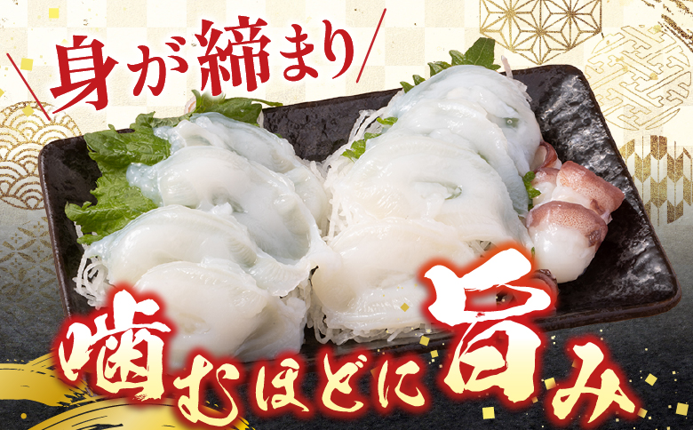 【北海道根室産】たこ足800g前後～1.4kg前後×1本 A-70051