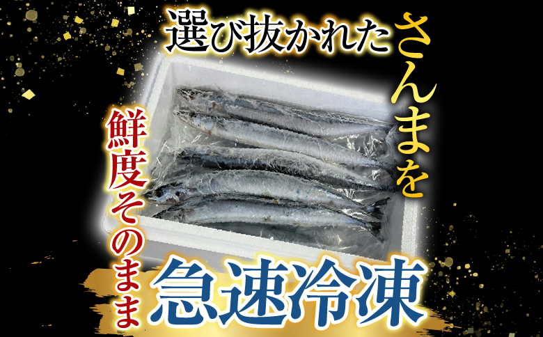 【北海道根室産】冷凍さんま5尾×4P(計20尾) A-76001