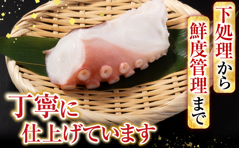 【北海道根室産】たこ足800g前後～1.4kg前後×1本 A-76028