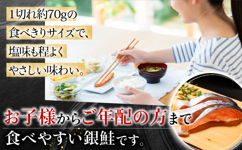 ＜12月14日決済分まで年内配送＞塩銀鮭切り身1切×35P B-09030