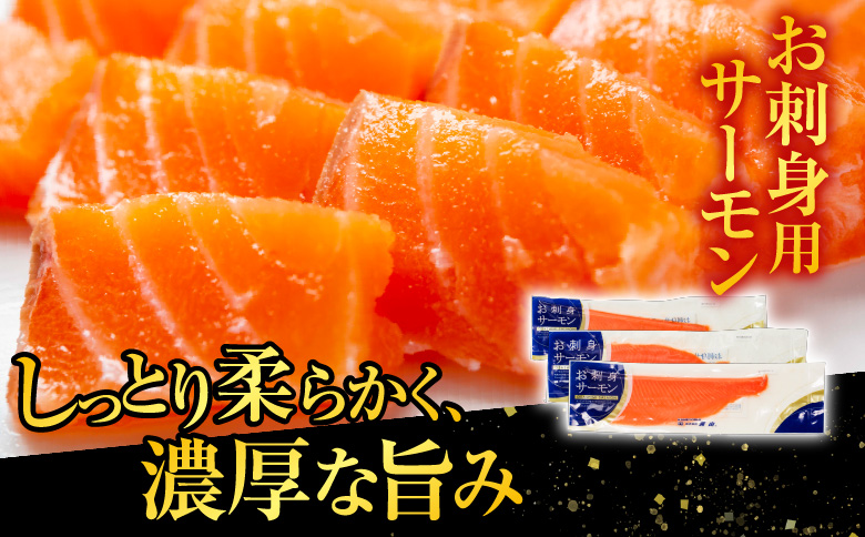 お刺身トラウトサーモン1kg、塩さばフィレ1枚×15P B-09054