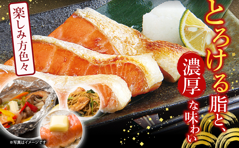 塩サーモンハラミ1切(約40g)×45P B-09063