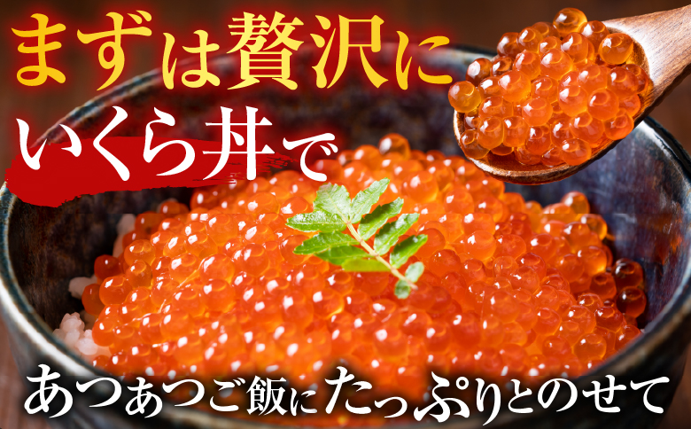 ＜12月10日決済分まで年内配送＞いくら醤油漬け(鮭卵)160g×3P(計480g) B-14012
