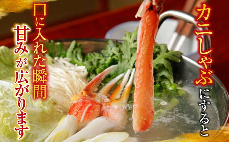 お刺身可！ずわいがに棒肉ポーション400g×2P(計38～48本) B-14079