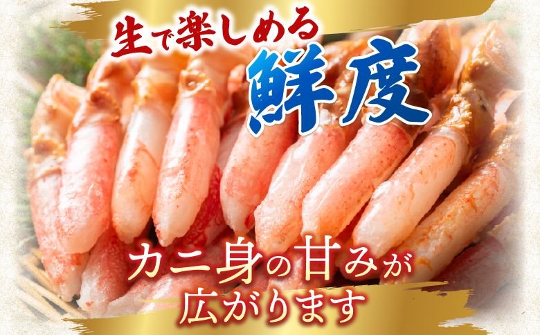 生食用本ズワイガニ爪下棒肉ポーション1.2kg B-14086