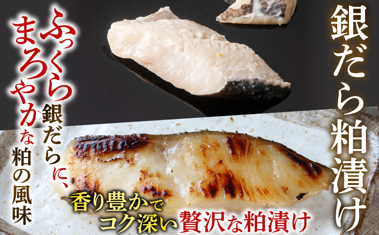 銀だら粕漬け・西京漬けセット(1切約110g×各8P) B-14093