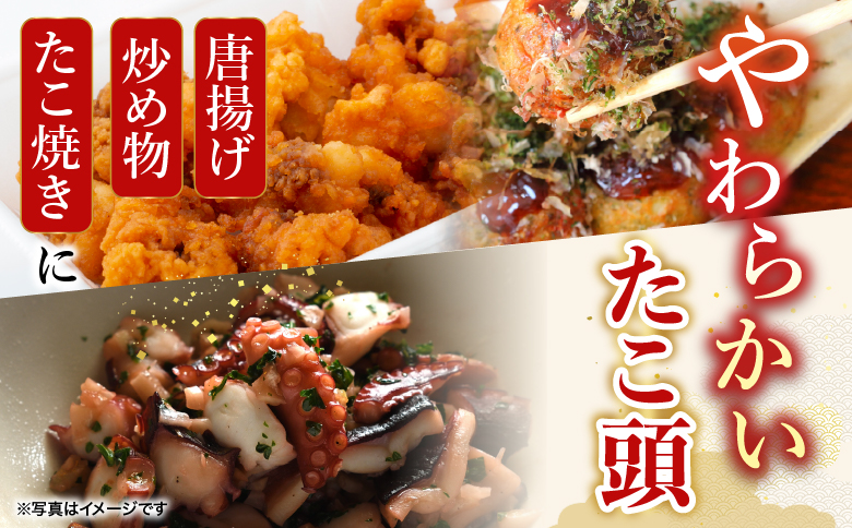 【北海道根室産】たこ足500g・たこ頭1～1.4kg B-19003