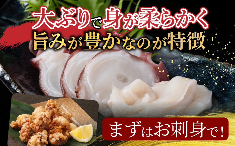 ＜12月14日決済分まで年内配送＞【北海道根室産】水たこ足2本、たこ頭1切 F-20004