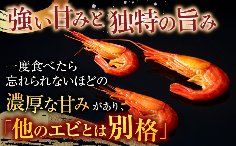 ＜12月21日決済分まで年内配送＞【北海道根室産】ボイル北海シマエビ600g B-42086