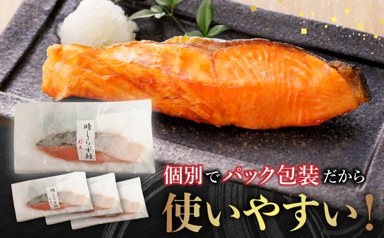 焼き魚切身食べ比べセット B-42109