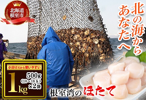 ＜12月21日決済分まで年内配送＞ほたて貝柱500g×2P(計1.0kg) B-45003