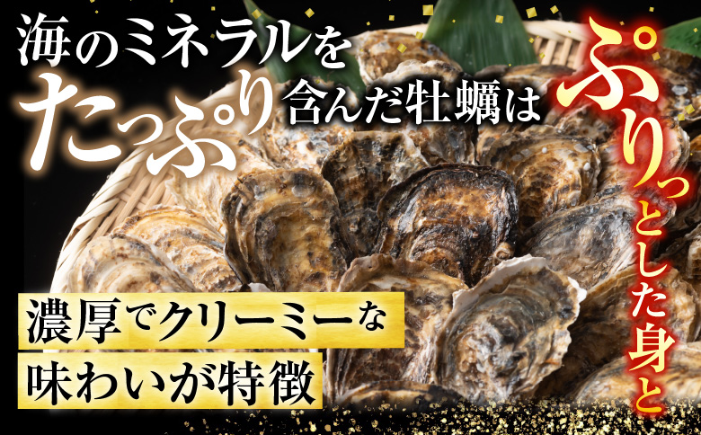 ＜12月21日決済分まで年内配送＞【北海道根室産】貝付き牡蠣30個[11月上旬以降発送] B-54006