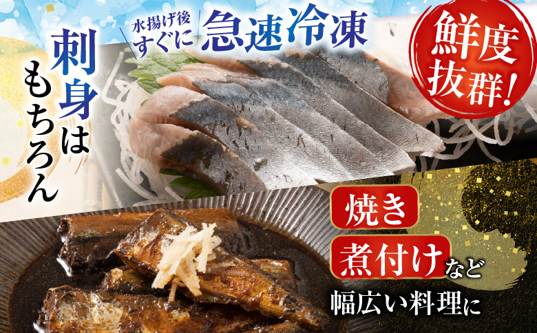 冷凍生さんま5尾×5P、ほたて貝柱200g×2Pセット C-30038