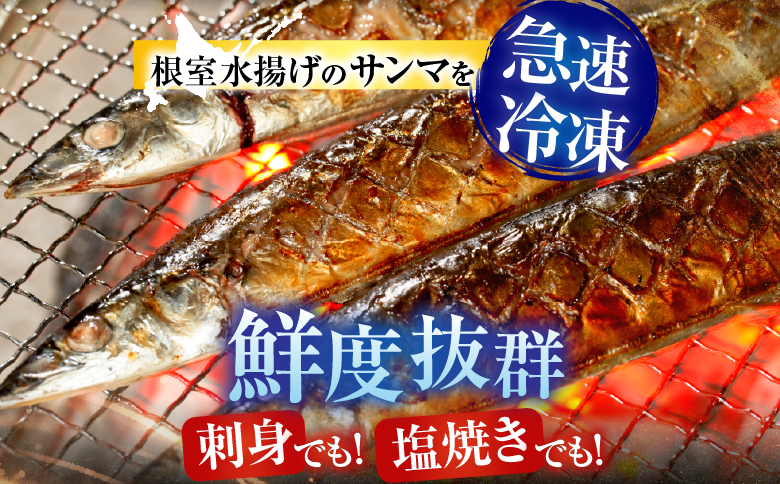 【北海道根室産】タラバガニむき身300g×1P・冷凍さんま5尾×5Pセット C-30080